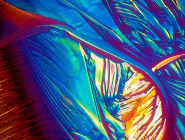 champagne-microscopio